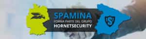 hornet spamina