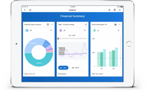 financial summary workday