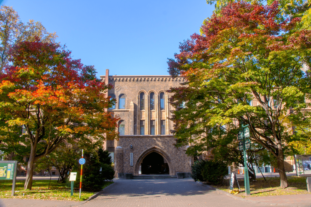the hokkaido university museum