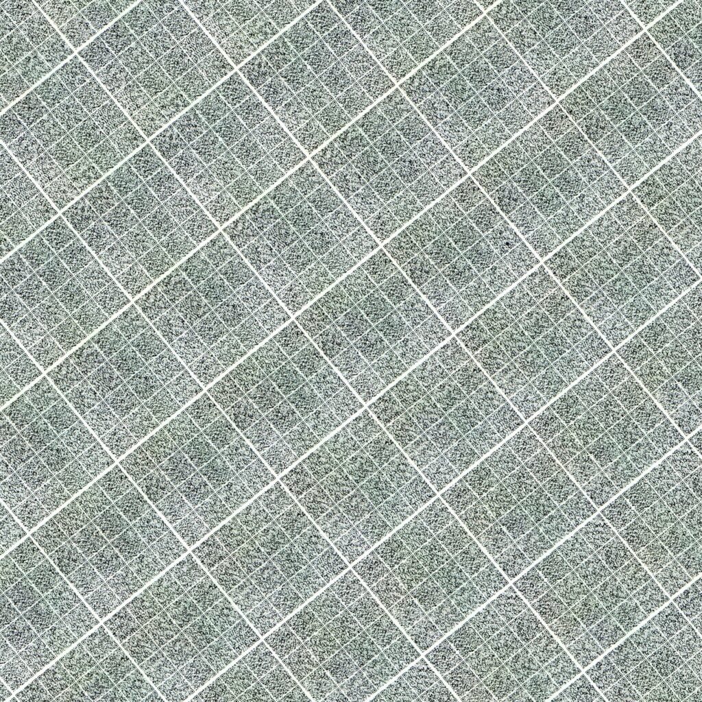 microscope image of data layer