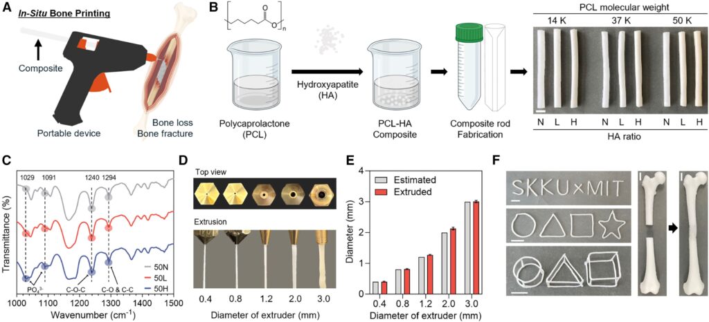pegamento cirugia ortopedica