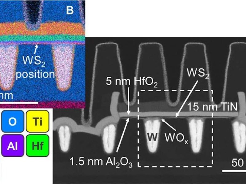 Figure 1 - HAADF-STEM and EDS analysis for a WS2 device with 50nm CPP