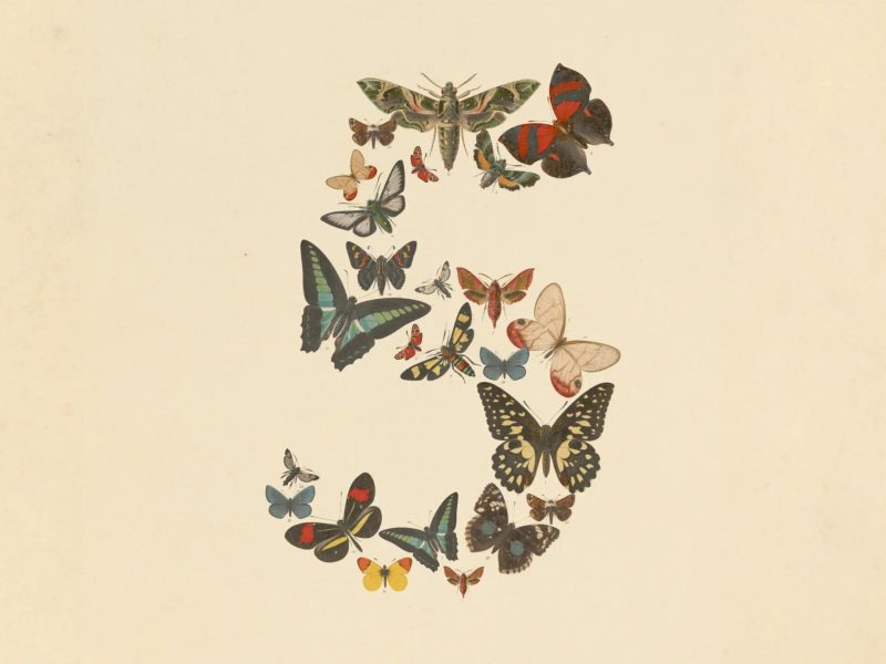 claude-fable-5