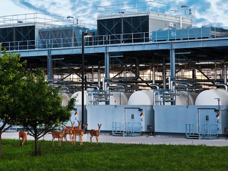 datacenter-google-iowa-ciervos