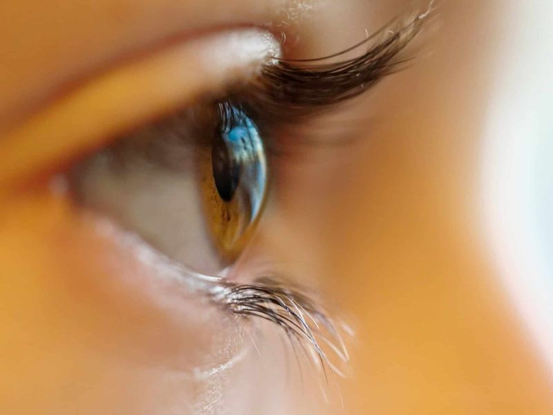 lentillas-ojo